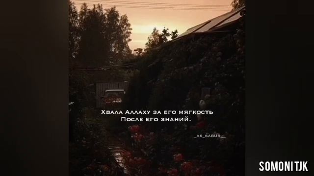 Альхамдулиллях (ALHAMDULILLAH)