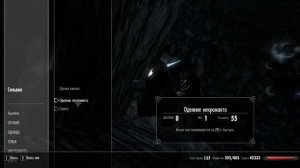 Скайрим. Башня Светотьмы, местный квест Раскаяние