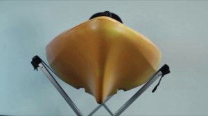 Best Sit On Top Kayaks 2023 - Top 5 Best Sit On Top Kayak For Beginners