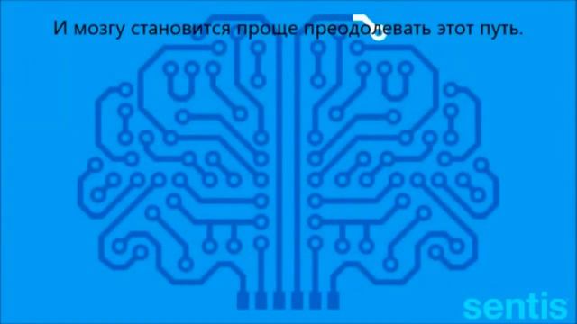 Нейронные связи простым языком