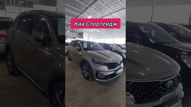 Авторынок. Киа Спортейдж
#киаспортейдж #авторынок #цены #сегодня #автомобили #машина #2024 #автотур