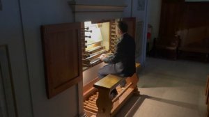 J.S. Bach: "Das Orgelbüchlein" In dir ist Freude, BWV 615. Felix Marangoni - organ
