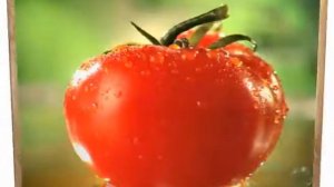 "ФРУКТОВЫЙ САД" "Песня"