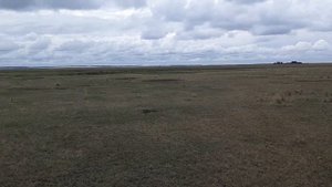 Пустой КОП на деревне Ольги Бузовой. Поиск монет с металлоискателем.