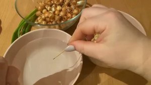 Выращиваем лук севок на зелень дома.