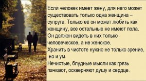 Псалом 103, поучения 54