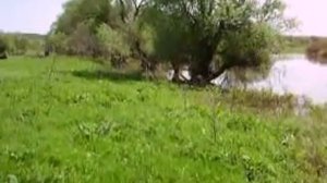 если грустно, вспомним весну....mp4