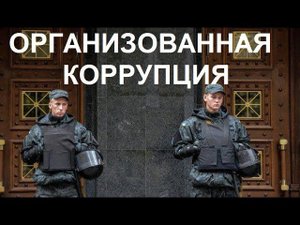 Обращение к Путину. Как быть патриотом в государстве, которое с коррупцией борется только на словах?