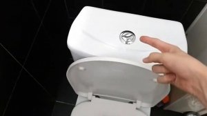 как ПРАВИЛЬНО смывать В ТУАЛЕТЕ!!!!