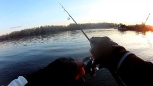 "Песня ручья" или Shimano Soare X-Tune на минималках. Спиннинг для микроджига с AliExpress.