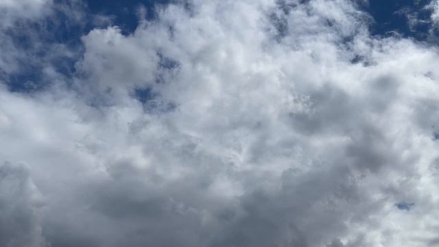 УРАЛ (Екатеринбург) — Юпитер красные (Нижний Тагил) (26:0) смотреть онлайн