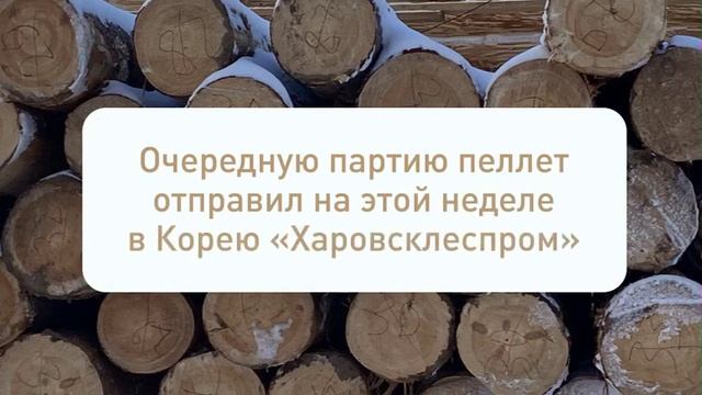 Новости ЛПК. Самое интересное за неделю (10–16 ноября 2023 г.)??? смотреть онлайн