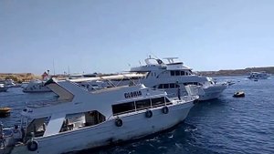 Экскурсия на остров Тиран. Дайвинг в Шарм Эль Шейхе