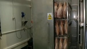 Экскурсия на фабрику по производству хамона в Испании