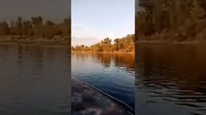 Катер Амур мерк 150 скорость 85 винт 14/23 обороты 5300.