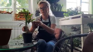 Пересадка/перевалка комнатных растений