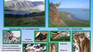 Заповедники России