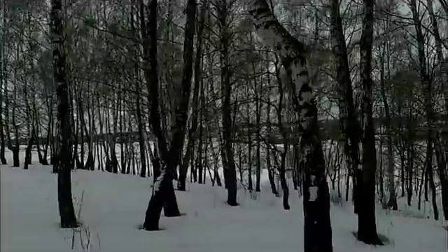 поездка в лес с супругой на самодельном снегоходе ..wmv смотреть онлайн