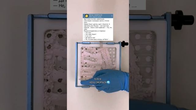 Анекдот про ёжика? #анекдоты #юмор #приколы #шутки #смех смотреть онлайн