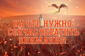 ЭТО ВАЖНО! ДЛЯ ВАС!...Таро расклад|Таро исцеление|