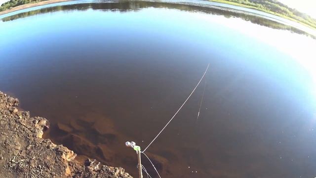 ?Три дня жили на берегу реки. Рыбалка на донки, фидер. Отдых с семьёй!!! смотреть онлайн