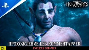 «В ТЕНИ ГОРЫ» ✪ РУССКАЯ ОЗВУЧКА - Hogwarts Legacy  Прохождение Без Комментариев — Часть 24