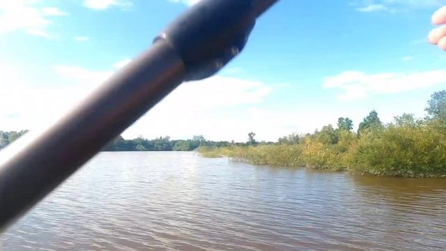 Одинокий тапок ждет хозяина #свободный #сапборд смотреть онлайн