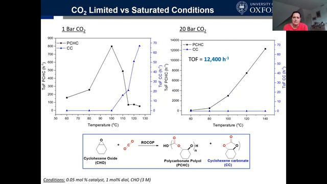 Catalytic Activation of Renewable Resources - Professor Charlotte Williams - CPS 2021 смотреть онлайн