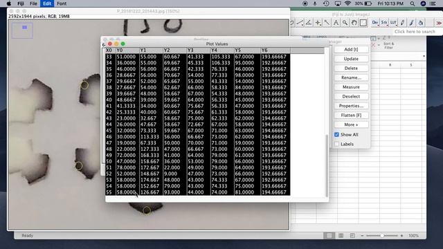 ROI Manager ImageJ смотреть онлайн