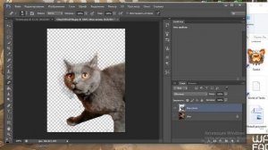 ФотоМастер 1 | Как вырезать человека/предмет ? Как заменить фон?