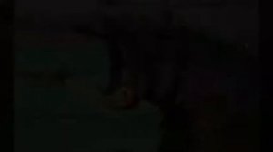 БЕГЕМОТЫ/ПОДБОРКА