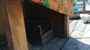 Содержание индоуток в летнее время