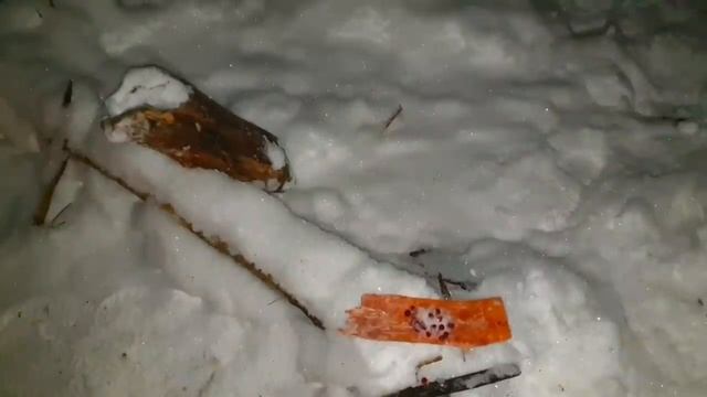 30.?ВЫЖИВАНИЕ в лесу ЗИМОЙ В ДИКОЙ ПРИРОДЕ БЕЗ НИЧЕГО _ МОРОЗ -31⁰С _ ЛЕСНОЙ СУП _ КОМПОТ ИЗ ЯГОД