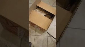 Отправка посылка Авито доставка через Боксберри