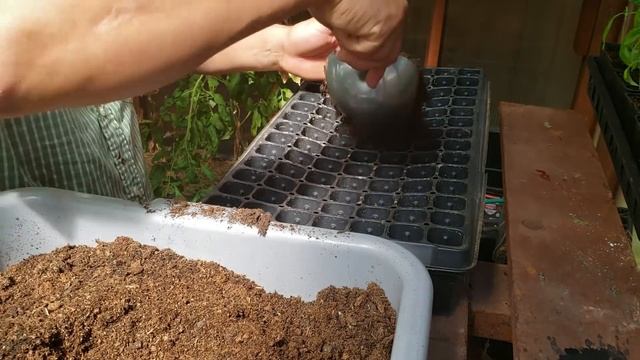 How To! Growing Strawberries From Seeds (2019) смотреть онлайн