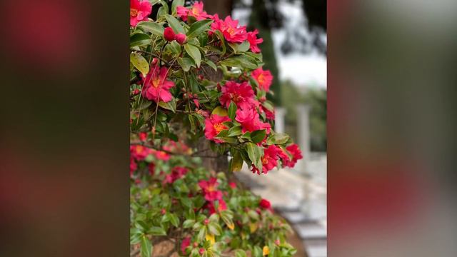 Крым в феврале смотреть онлайн