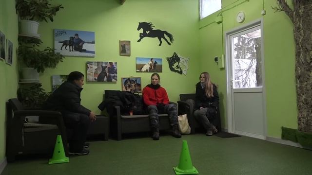 Догтренинг 492. Бобтейл. Особенности воспитания и дрессировки. Практикум. смотреть онлайн