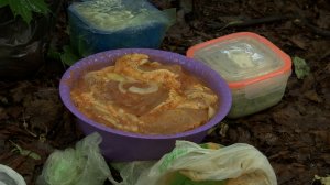 Охота на «шашлычников» в парке