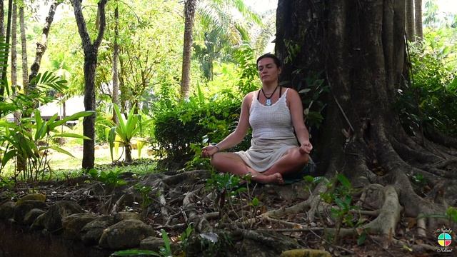 Медитация для начинающих. Шаматха. Наблюдение за дыханием. Урок #12. смотреть онлайн