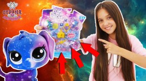 ЛЕРА и LITTLEST PET SHOP: ДАРТ ВЕЙДЕР украл космических ЛПС!