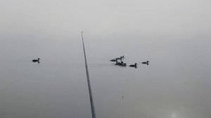 Рыбалка на Чесноковском пруду