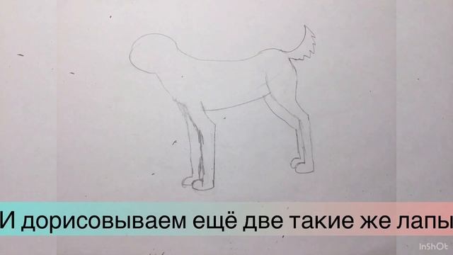 Как нарисовать собаку быстро и легко. смотреть онлайн