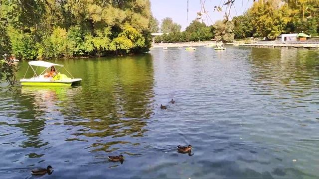 Сегодня в парке Горького катамараны.