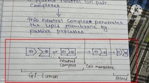 Mechanism of Drug absorption from GIT|Biopharmaceutics and pharmacokinetics(BP604T)#drugabsorption