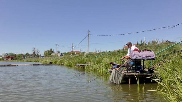 Ловля карпа где, как и на что ловить смотреть онлайн