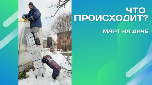 Беда огородника...Март на даче