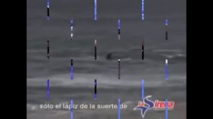 Касатка разорвала человека