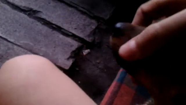 Мы. Подобрали. Собаку. Кто. Потерял. Звоните. смотреть онлайн