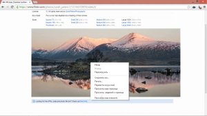 Как скачать фото с Flickr и других сайтов