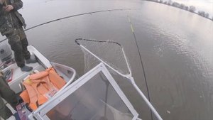 Рыбалка - Астрахань, апрель 2018г, п. Нариманово, база Альпийская деревня